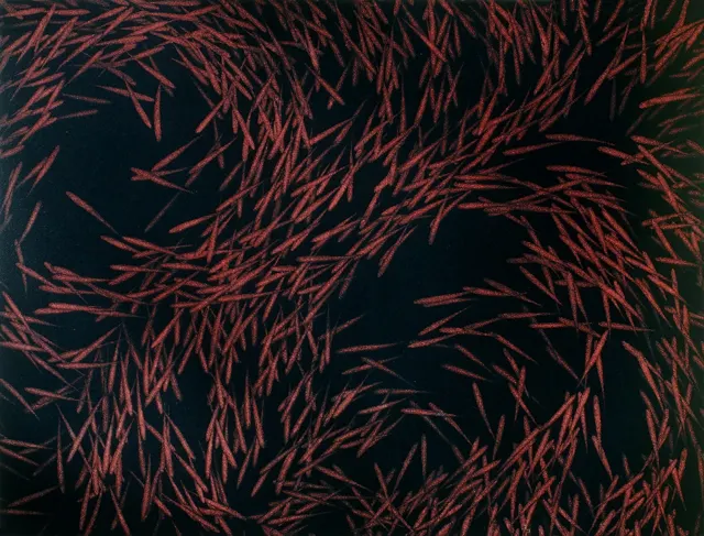 12. Movement F-8311, Aquatint, 40X23cm. 1983