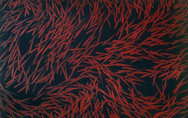 14. Movement F-8404, Aquatint, 40X25cm. 1984