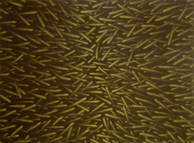 15. Movement F-8405, Aquatint, 35X25cm. 1984