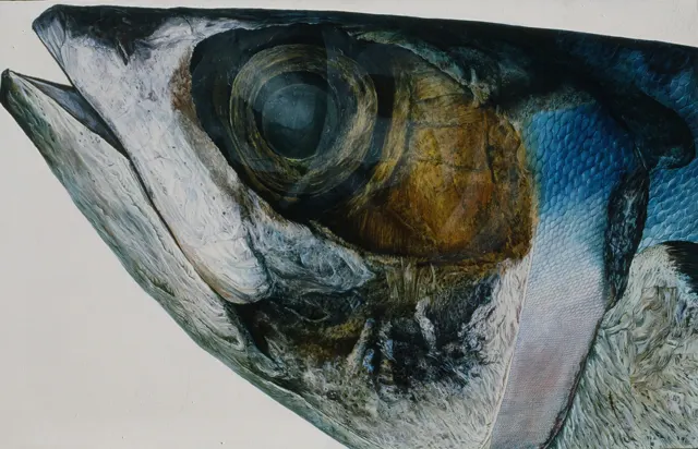16. Fish-804, Oil Painting, 130X97cm, 1981
