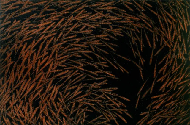 16. Movement F-8406, Aquatint, 33X23cm. 1984