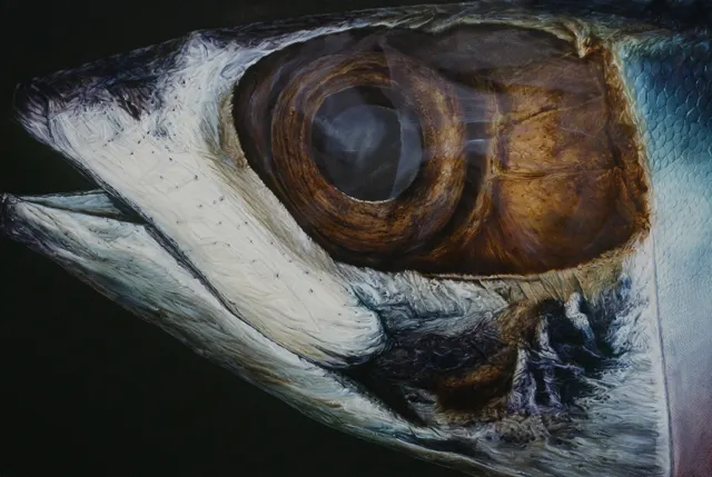 17. Fish-812, Oil Painting, 162X130cm, 1981