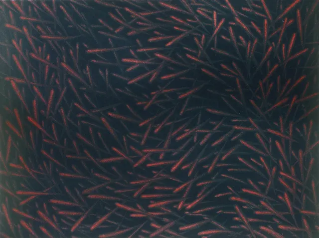 17. Movement F-8407, Aquatint, 35X50cm. 1984