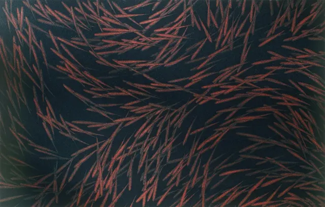 18. Movement F-8408, Aquatint, 38X28cm. 1984