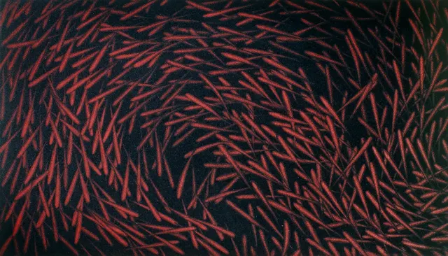 19. Movement F-8420, Aquatint, 40X23cm. 1984