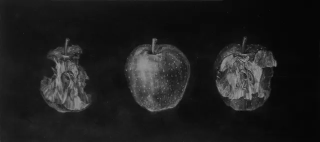 2. Apple, mezzotint, 20X40cm, 1986