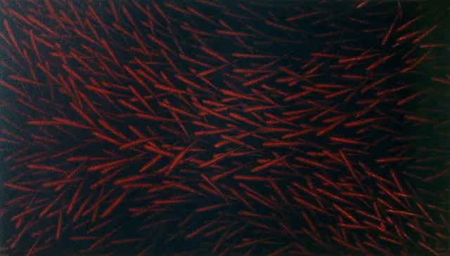 20. Movement F-8422, Aquatint, 40X23cm. 1984