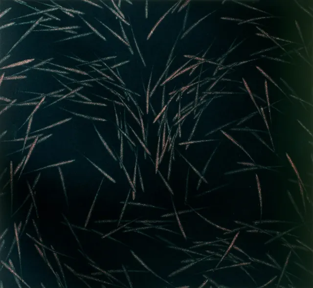 23. Movement F-8428, Aquatint, 40X40cm. 1984
