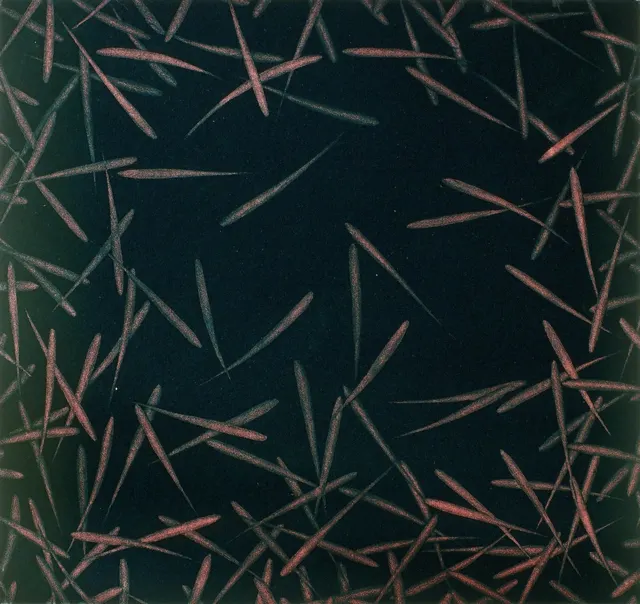 24. Movement F-8430, Aquatint, 40X40cm. 1984