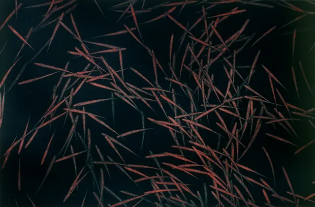 25. Movement F-8432, Aquatint, 60X40cm. 1984