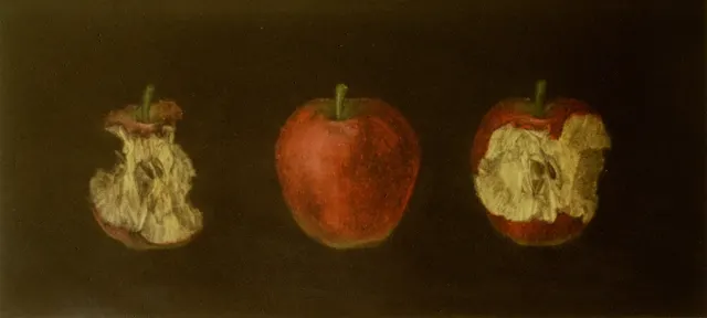 3. Apple C, mezzotint, 20X40cm, 1986