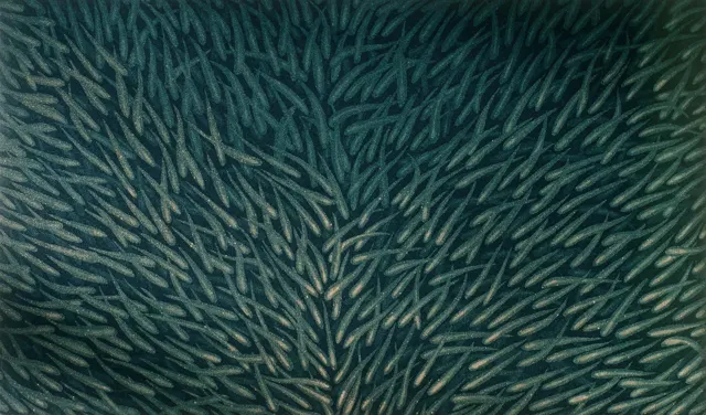 3. Movement F-8302, Aquatint, 40X25cm. 1983