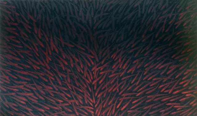 4. Movement F-8302 B, Aquatint, 40X25cm. 1983