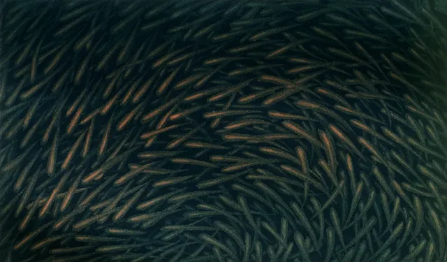 5.. Movement F-8303, Aquatint, 40X25cm. 1983